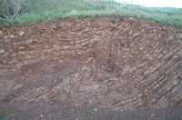  43-strata.jpg 