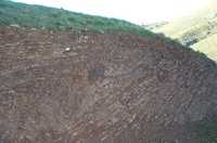  44-more-strata.jpg 