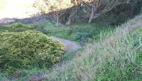  58-path.jpg 