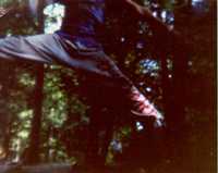  185.jpg 