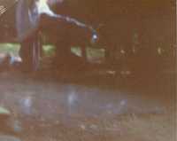  186.jpg 