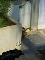  01-corner.jpg 