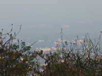  29-Mysore-again.jpg 