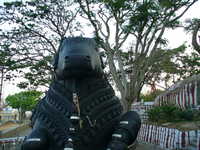  31-Awesome-bull-again.jpg 