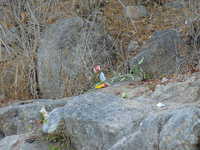  36-Litter.jpg 