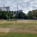 20241112_122418.jpg