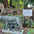 20241112_122505.jpg
