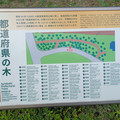 20241112_143123.jpg