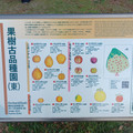 20241112_145037.jpg