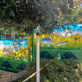 20241113_103457.jpg