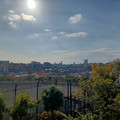 20241113_134317.jpg