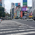 20241114_102319.jpg
