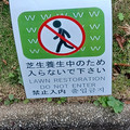 20241114_151357.jpg