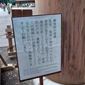 20241116_145032.jpg