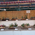 20241116_150043.jpg