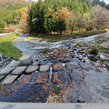 20241118_125627.jpg