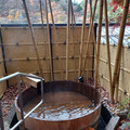 20241120_094844.jpg
