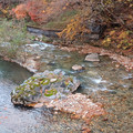 20241120_131745.jpg