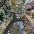 20241122_140048.jpg