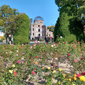 20241125_111524.jpg