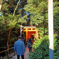 20241128_083748.jpg