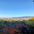 20241128_084227.jpg