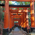 20241128_091656.jpg