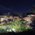 20241128_190202.jpg