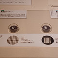 20241130_110441.jpg