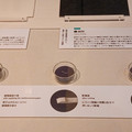 20241130_110445.jpg