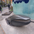 20241202_095634.jpg