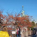 20241202_121939.jpg