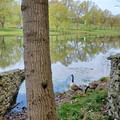 20240428_110925.jpg