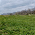 20240428_111604.jpg