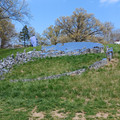20240428_132218.jpg