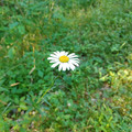 20240618_080008.jpg