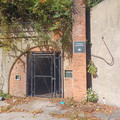 20241012_134727.jpg
