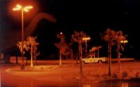 [Cool nighttime dinosaur pic.]